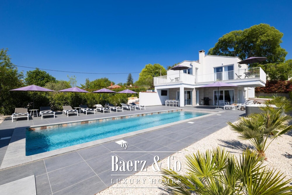 Foto 11 1000w
