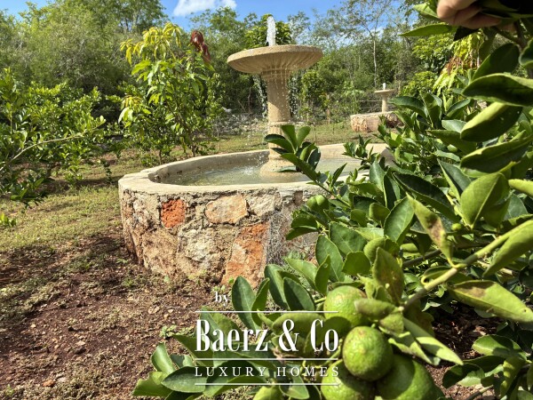 photo 18 A Private Yucatán Estate - villa, tower suite, guest casita, medicinal garden, orchard and more